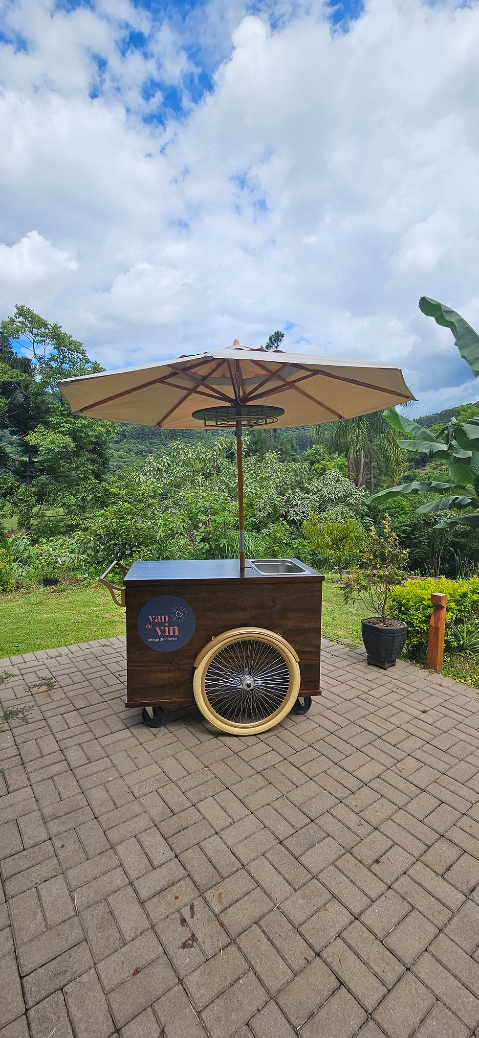 carrinho de vinhos para eventos