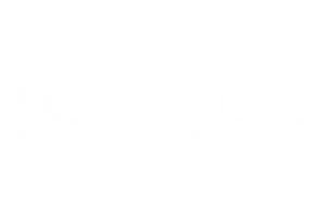 BlackBridge Consulting is founded!