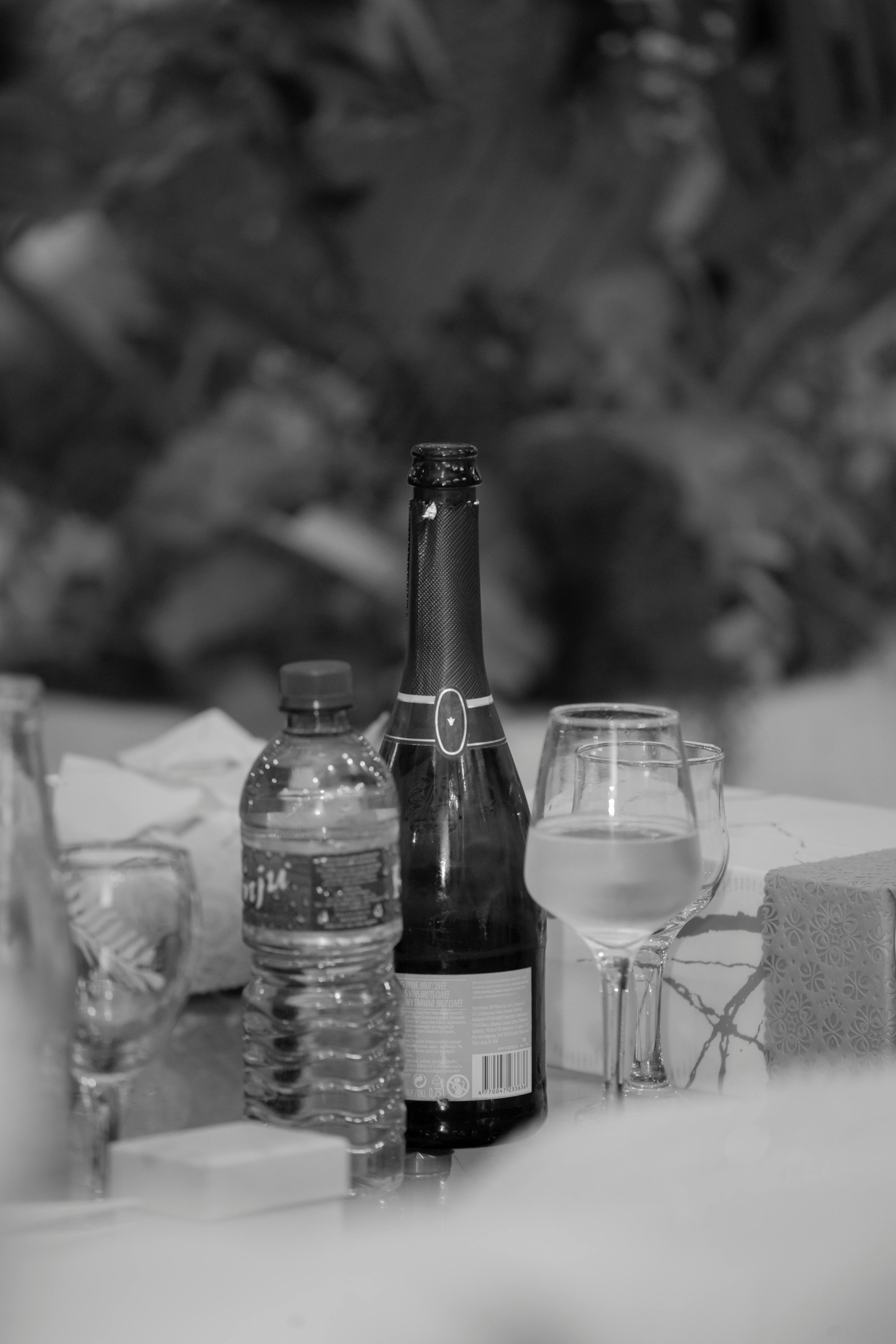 pexels-chris-wade-ntezicimpa-564856410-20221636.jpg