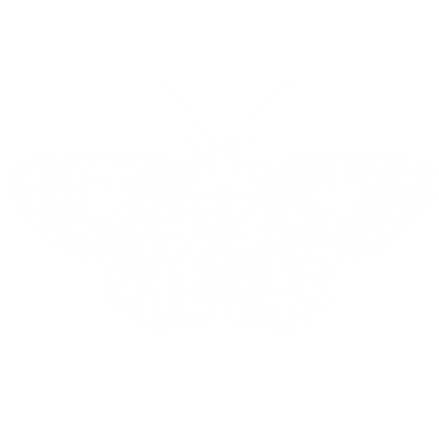 ABIGAIL B FRANKEN (1).png