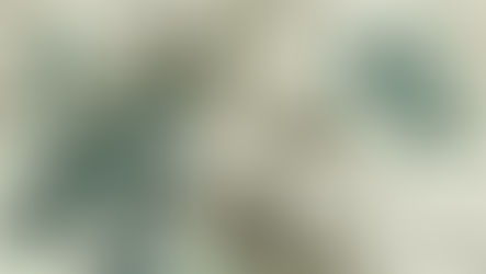 Finance et Guerre : deux notions aux antipodes l’une de l’autre ?  