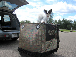 dog trolley covers