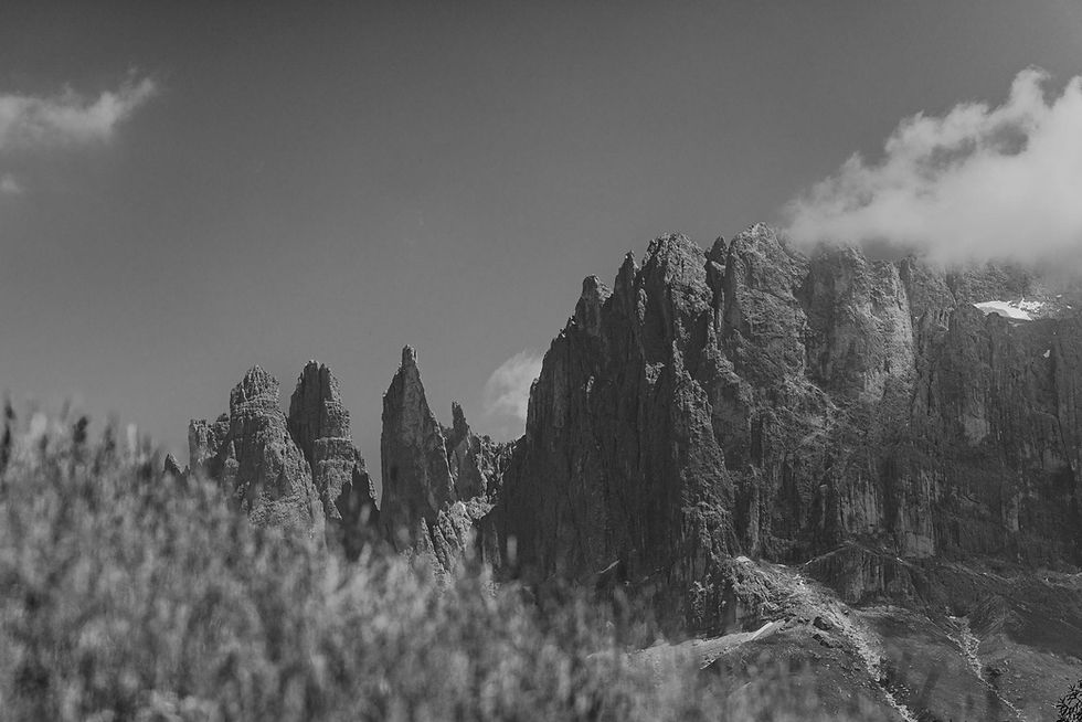 20260417_163644-d729.jpg