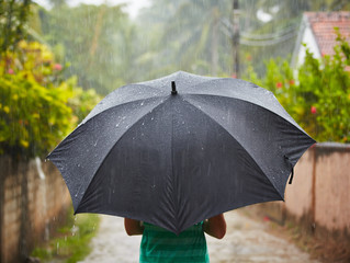 Blame it on the rain
