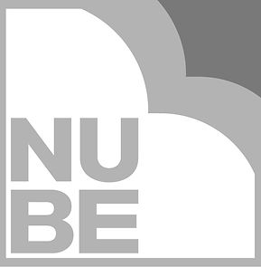 NUBE 350X350-03_edited_edited.jpg