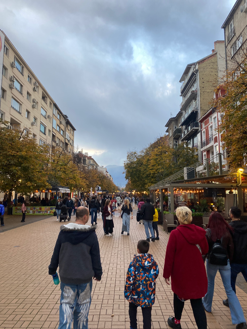 Vitosha Boulevard