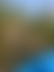 Hangmaten aan een rivier in de jungle