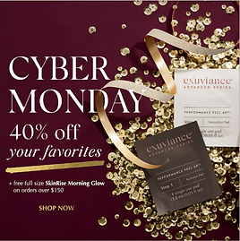 Screen Shot 2021-01-15 at 12.40.31 PM.pn