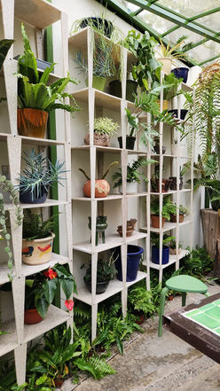 PHOTO-2023-02-10-16-24-58 2.jpg