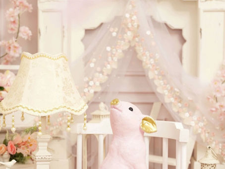 ★春の桜撮影会★