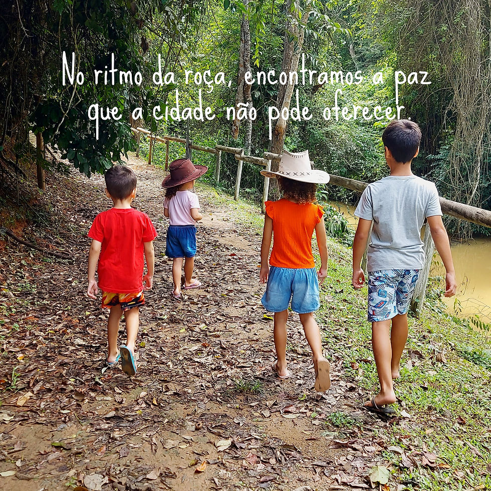 No ritmo da roça, encontramos a paz que a cidade não pode oferecer.