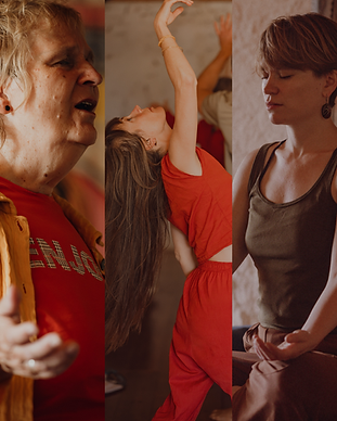 sip2026 triptych no words.png