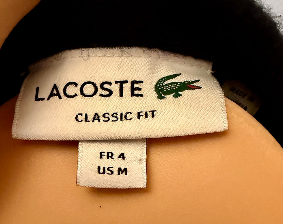 Thumbnail: Lacoste Branded Crewneck Sweater