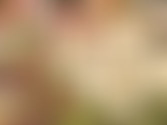 Everything You Need to Know About Fibre for Better Gut, Hormone, and Metabolic Health