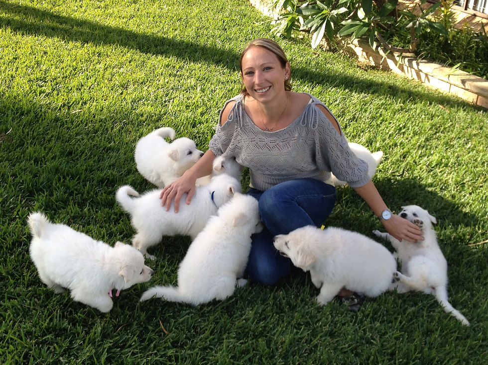 PuppyPlayArea2.jpg