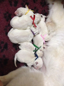 Feeding time