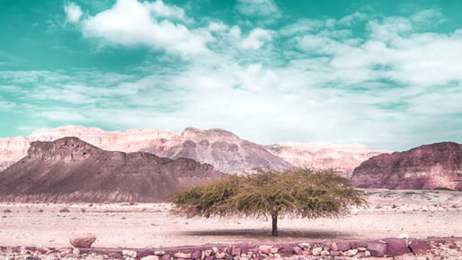 Wilderness, Where Temptation is Waiting