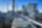 Asset One Image, Outdoor Plant.jpg