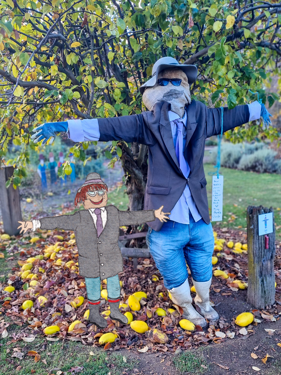 charlie the scarecrow at wanaka lavender far, with drawing the way cartoon watercolour version next to him