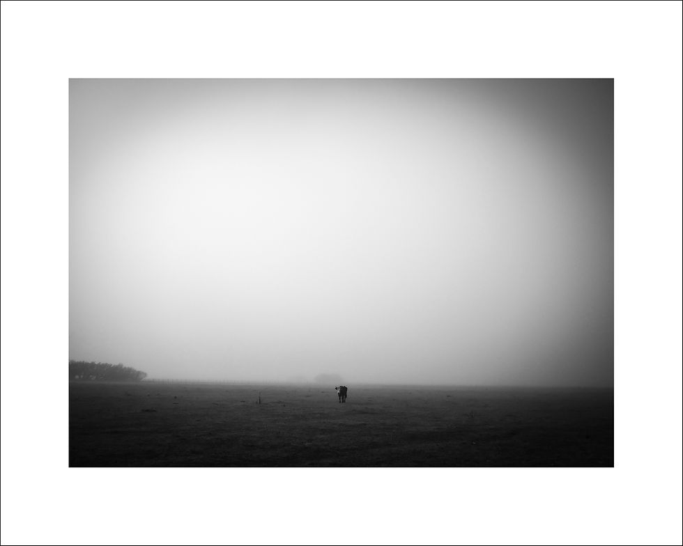 SURCO - LUCAS CHILLEMI