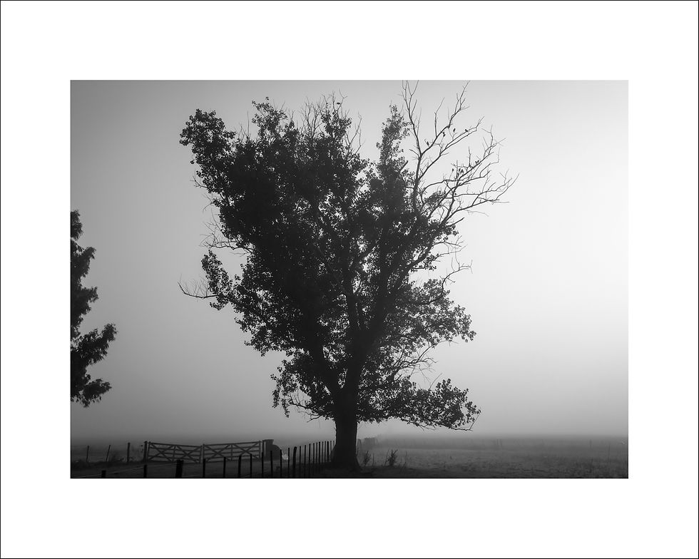 SURCO - LUCAS CHILLEMI