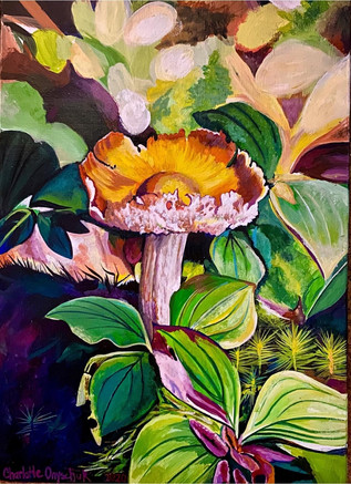 Fruiting Body