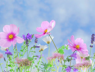 Spring Newsletter