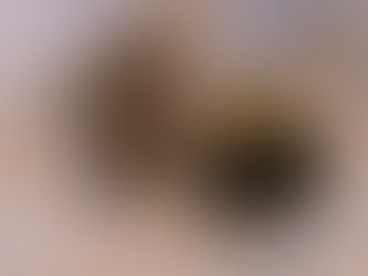 Not quite a Faberge egg!