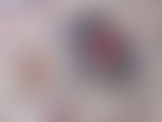 A PAIR OF INDIAN MINATURES