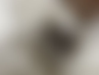 Michael Bolton rings