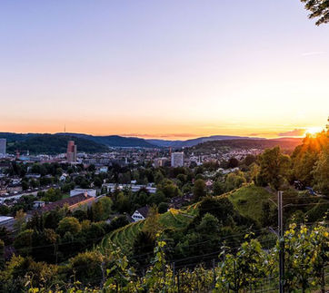 Goldenberg Winterthur.jpg