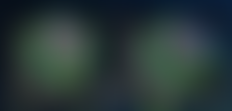 The Annual International Symposium on Oxygenation-Sensitive CMR