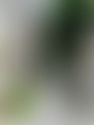 第8期定期総会がおこなわれました