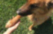 IMG_3558.jpeg