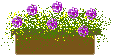 013.gif