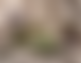 Sensual Beauty Elixirs: NElise Botanicals' Mystical Collection