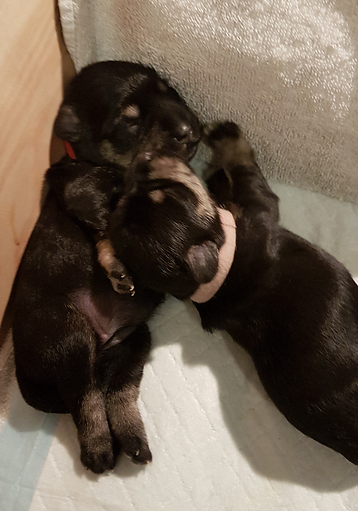 20190101_204119 (1).jpg