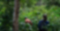 Puri y Papa caminando.jpg