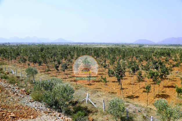 Spp properties fraud