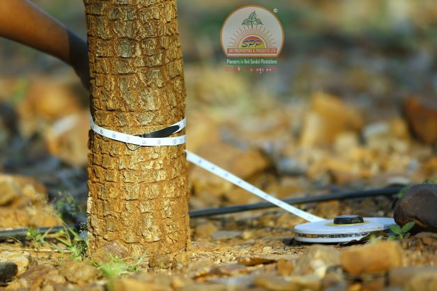 Spp properties fraud