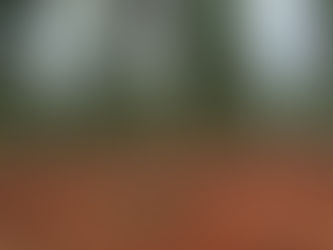 SPPPROPERTIESFRAUD, SAIPROPERTIESANDPROJECTSFRAUD, SAIPROPERTIESFRAUD,SPPPROPERTIESFRAUD, SPPFRAUD SPPPROPERTIESCHEATING, SAIPROPERTIESANDPROJECTSCHEATING, SAIPROPERTIESCHEATING,SPPPROPERTIESCHEATING, SPPFRAUDCHEATING