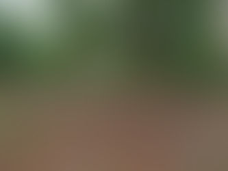 SPPPROPERTIESFRAUD, SAIPROPERTIESANDPROJECTSFRAUD, SAIPROPERTIESFRAUD,SPPPROPERTIESFRAUD, SPPFRAUD SPPPROPERTIESCHEATING, SAIPROPERTIESANDPROJECTSCHEATING, SAIPROPERTIESCHEATING,SPPPROPERTIESCHEATING, SPPFRAUDCHEATING