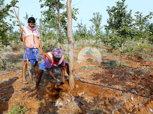 SPPPROPERTIESFRAUD, SAIPROPERTIESANDPROJECTSFRAUD, SAIPROPERTIESFRAUD,SPPPROPERTIESFRAUD, SPPFRAUD SPPPROPERTIESCHEATING, SAIPROPERTIESANDPROJECTSCHEATING, SAIPROPERTIESCHEATING,SPPPROPERTIESCHEATING, SPPFRAUDCHEATING