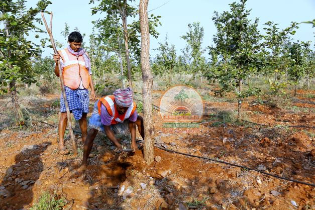 Spp properties fraud