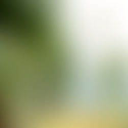 SPPPROPERTIESFRAUD, SAIPROPERTIESANDPROJECTSFRAUD, SAIPROPERTIESFRAUD,SPPPROPERTIESFRAUD, SPPFRAUD SPPPROPERTIESCHEATING, SAIPROPERTIESANDPROJECTSCHEATING, SAIPROPERTIESCHEATING,SPPPROPERTIESCHEATING, SPPFRAUDCHEATING