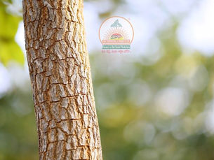 SPPPROPERTIESFRAUD, SAIPROPERTIESANDPROJECTSFRAUD, SAIPROPERTIESFRAUD,SPPPROPERTIESFRAUD, SPPFRAUD SPPPROPERTIESCHEATING, SAIPROPERTIESANDPROJECTSCHEATING, SAIPROPERTIESCHEATING,SPPPROPERTIESCHEATING, SPPFRAUDCHEATING