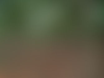 SPPPROPERTIESFRAUD, SAIPROPERTIESANDPROJECTSFRAUD, SAIPROPERTIESFRAUD,SPPPROPERTIESFRAUD, SPPFRAUD SPPPROPERTIESCHEATING, SAIPROPERTIESANDPROJECTSCHEATING, SAIPROPERTIESCHEATING,SPPPROPERTIESCHEATING, SPPFRAUDCHEATING