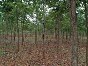 SPPPROPERTIESFRAUD, SAIPROPERTIESANDPROJECTSFRAUD, SAIPROPERTIESFRAUD,SPPPROPERTIESFRAUD, SPPFRAUD SPPPROPERTIESCHEATING, SAIPROPERTIESANDPROJECTSCHEATING, SAIPROPERTIESCHEATING,SPPPROPERTIESCHEATING, SPPFRAUDCHEATING