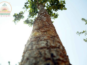 SPPPROPERTIESFRAUD, SAIPROPERTIESANDPROJECTSFRAUD, SAIPROPERTIESFRAUD,SPPPROPERTIESFRAUD, SPPFRAUD SPPPROPERTIESCHEATING, SAIPROPERTIESANDPROJECTSCHEATING, SAIPROPERTIESCHEATING,SPPPROPERTIESCHEATING, SPPFRAUDCHEATING