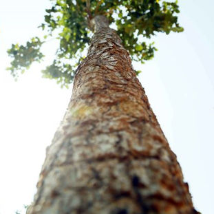 SPPPROPERTIESFRAUD, SAIPROPERTIESANDPROJECTSFRAUD, SAIPROPERTIESFRAUD,SPPPROPERTIESFRAUD, SPPFRAUD SPPPROPERTIESCHEATING, SAIPROPERTIESANDPROJECTSCHEATING, SAIPROPERTIESCHEATING,SPPPROPERTIESCHEATING, SPPFRAUDCHEATING